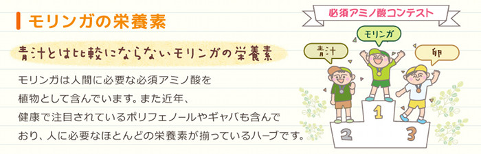 K[@Tv A~m_